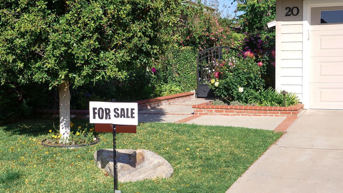 A plain For Sale sign on a sunny front lawn, with a garden bed and a single-storey house behind